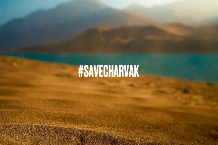 maxresdefault_2026-04-28_11-47-43