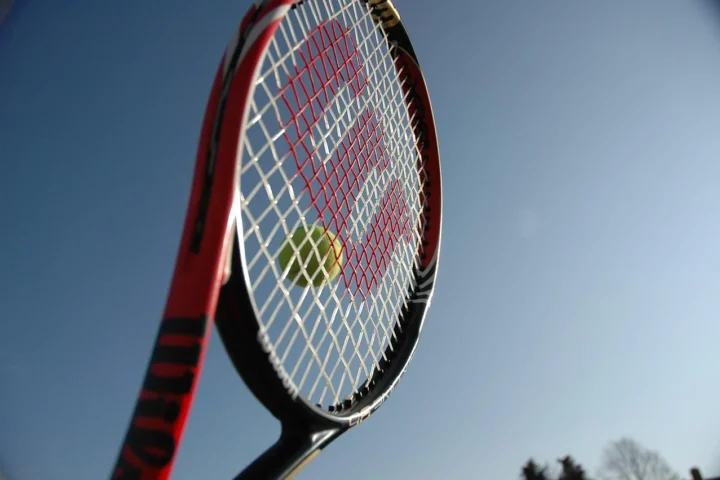 wilson-2259352_1280_2025-10-25_15-29-53